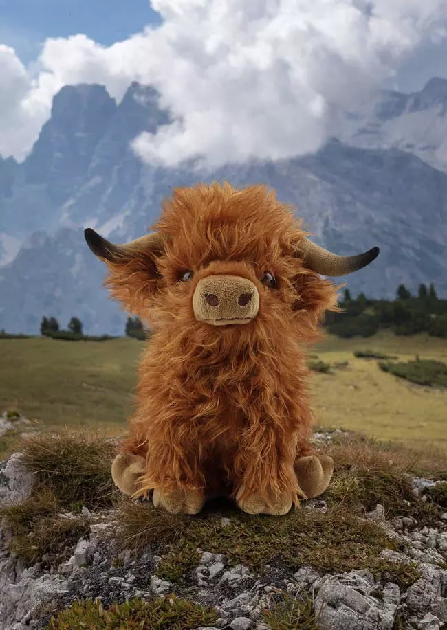 (🎁2023-Christmas Hot Sale-50%0FF🎁)🐂Eco-Friendly Scottish Highland Cow Soft Plush Toy