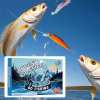 24 Days Christmas Countdown Fish Tackle Set &Fishing Challenge Map