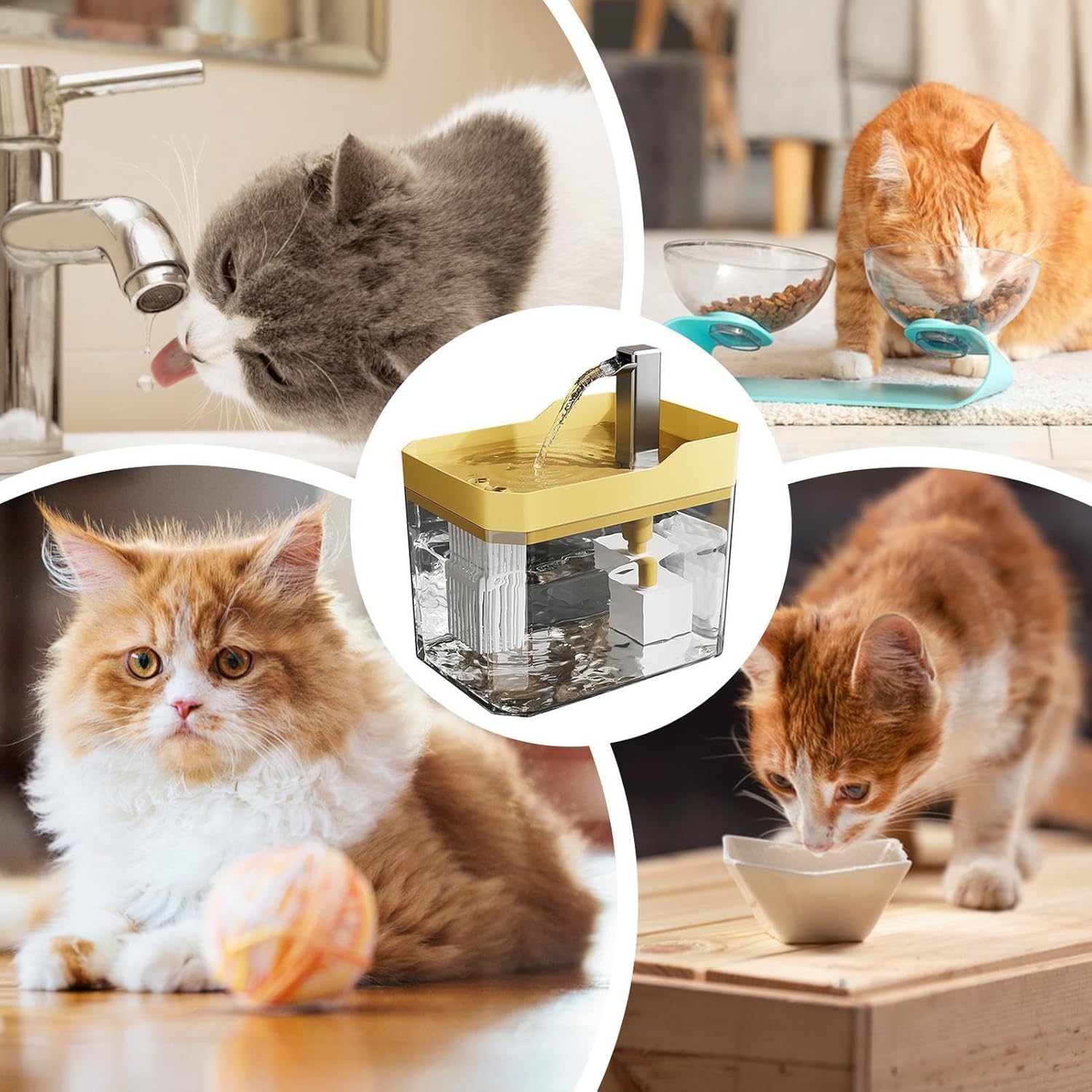 🔥✨2024 Hot Sale - 50% OFF😻💧Automatic Pet Water Fountain