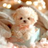 🐶 NICOO - The Cutest Robot Puppy