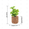 Mega Sale-Succulent Air Freshner Vent Clips