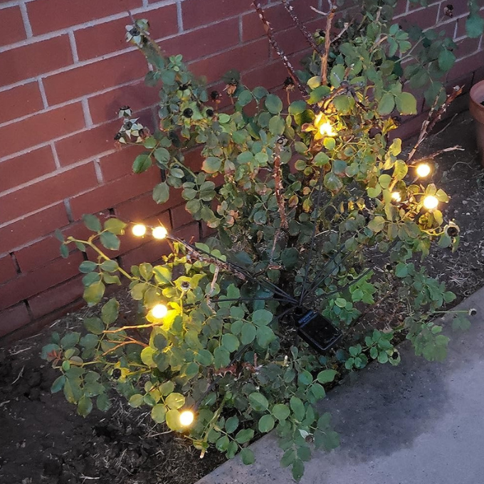 (🔥Christmas Sale- SAVE 49% OFF) 🧚Dancing Firefly Solar Garden Lights