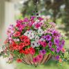 🔥LAST DAY 50% OFF🔥Outdoor Plants - Artificial flowers （Buy 2 free shipping）