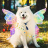 🦋2024 New Electric Wizard Wings  (💝for pets)