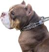 No Pull Dog Collar - Dog Training Collar with Comfort Tips, Adjustable Quick-Release Metal Buckle Pinch Collar,Dog Walking Tool for Small, Medium, or Large Breed - Metal Dog Chain