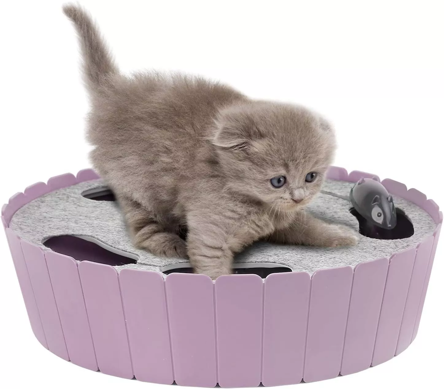 🔥LAST DAY 50% OFF - Cat Toy with Running Mouse