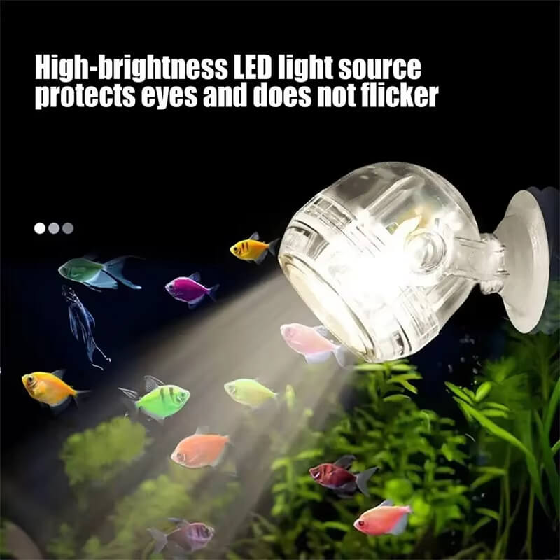 ⏰LAST DAY SALE 50% OFF💥USB LED Aquarium Spotlight