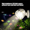 ⏰LAST DAY SALE 50% OFF💥USB LED Aquarium Spotlight