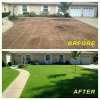 (🎉Last Day Promotion 50% OFF) Biodegradable Grass Seed Mat - Buy 2 Get 1 Free