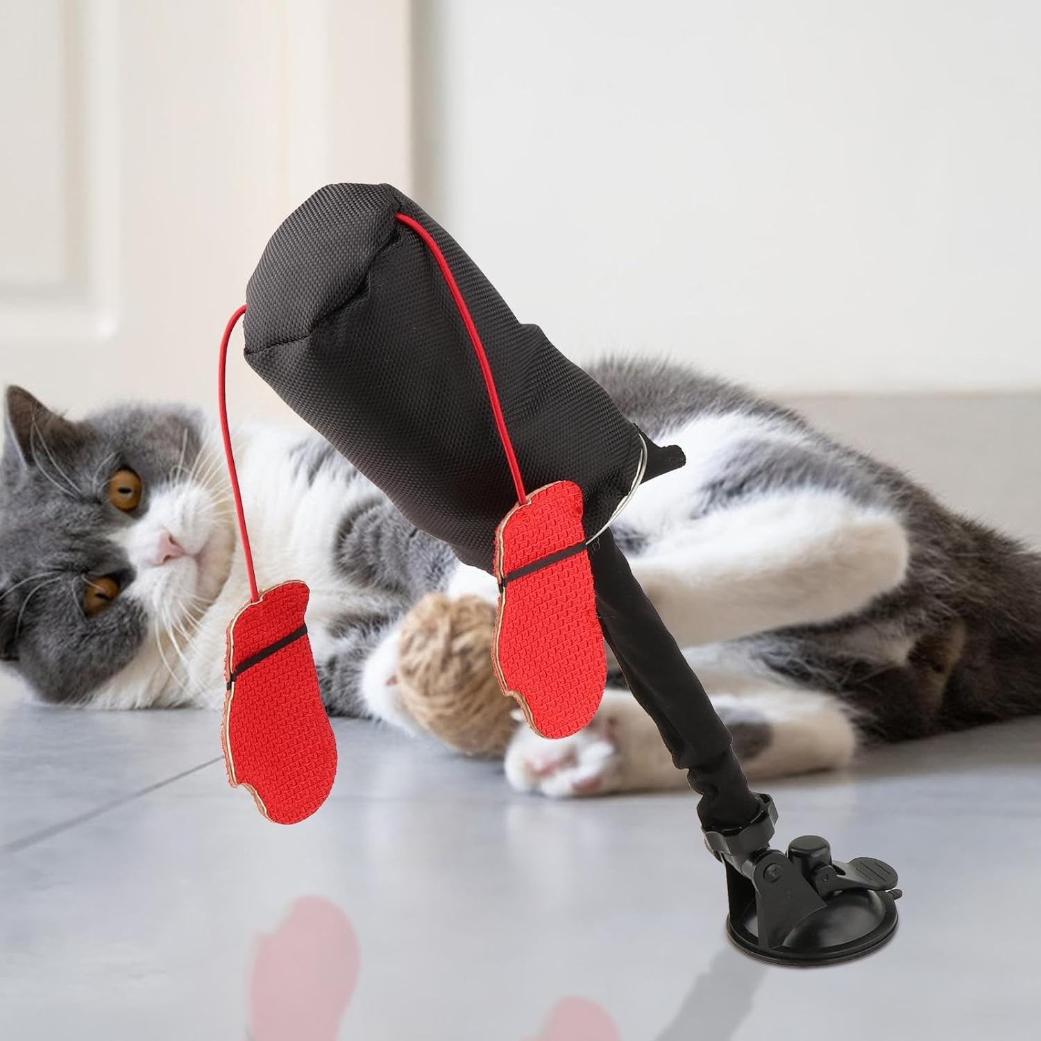 🔥Last Day Promotion 70% OFF🥊Cat Boxing Toy⚡️Buy 2 Free Shipping