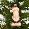 🔥Hot Sale 50% OFF - 🤣Funny Claus Christmas Ornament