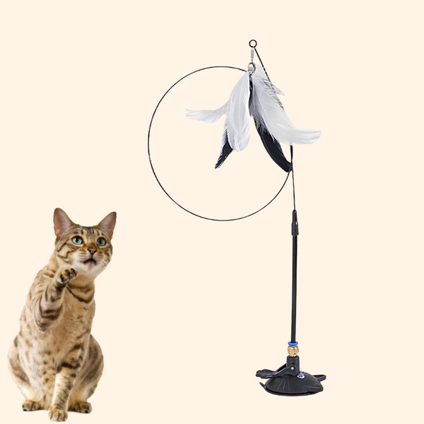 💥LAST DAY SALE 50% OFF💥Interactive Cat Toy Set