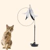 💥LAST DAY SALE 50% OFF💥Interactive Cat Toy Set