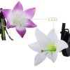 Mother's Day Limited Time Sale 70% OFF💓Villa Courtyard Solar Simulation Insert Ground Lilies