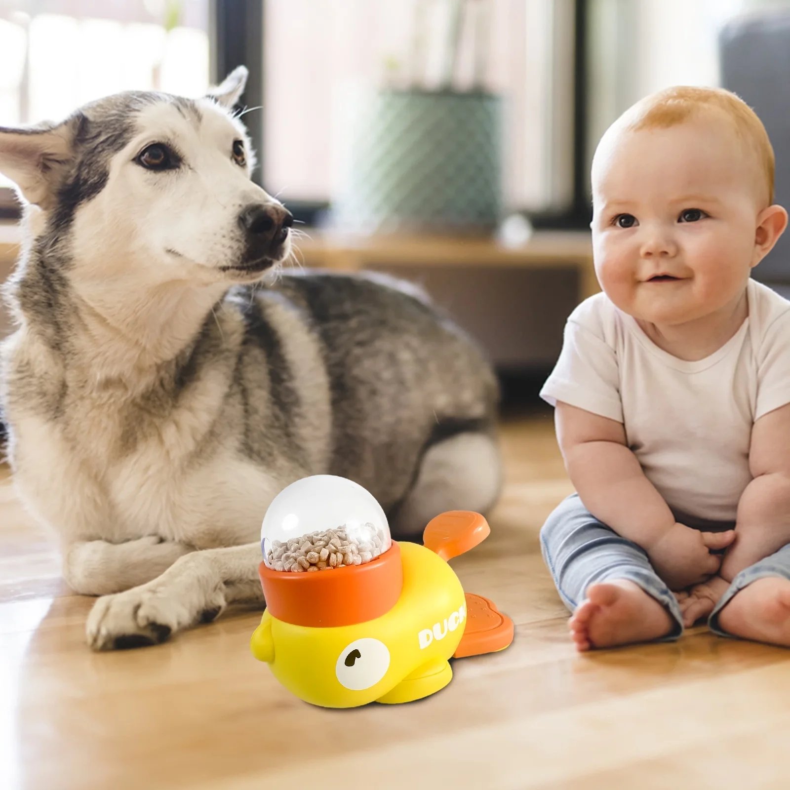 🔥Last Day Promotion 70% OFF🔥Little Yellow Duck Pet Feeder⚡️Buy 2 Free Shipping