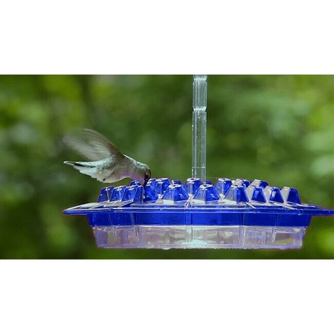 (Last Day Promotion - 50% OFF) Mary's Hummingbird Feeder With Perch, BUY 2 FREE SHIPPING