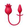 Rose Romeo with Plug