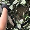 Dual-Section Folding Sickle