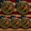 🎖️PTSD Awareness Commemorative Coin: Honoring Veterans’ Resilience