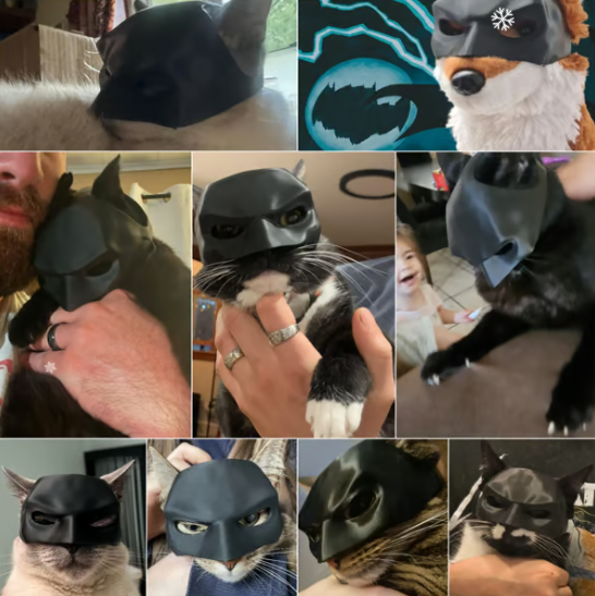 🔥Bat Cat Avenger Mask