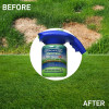 🔥Green Grass& Pest Control Lawn Spray System