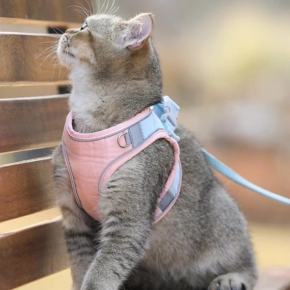 🎁Holiday Promotion🎉【Buy 2 Get Extra 10% OFF】Luminous Cat Vest Harness And Leash Set