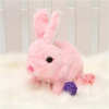 Bunny Toys Educational Interactive Toys Bunnies Can Walk and Talk - BUY 2 FREE SHIPPING