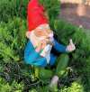 🔥Hot Sale 49% OFF🔥Garden Gnome Statue