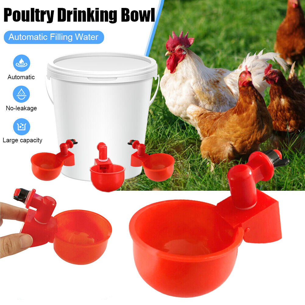 (🌲Early Christmas Sale- SAVE 48% OFF)Automatic Poultry Water Bowl 5Pcs/set--buy 2 get 1 free（15pcs）
