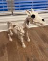 🐮💀Handmade Cow & Horse Skeleton Halloween Decorative Prop