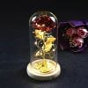 Mother's Day Limited Time Sale 70% OFF💓Glass-Covered Gold Leaf Eternal Roses🔥Buy 2 Get Free Shipping