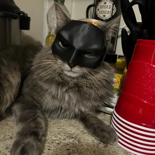 💥LAST DAY SALE 50% OFF💥Bat Cat Avenger Mask