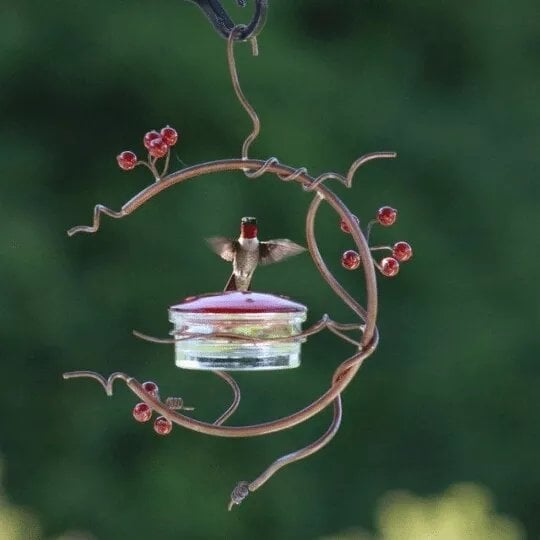 🔥Hot Sale 49% OFF-Red Berries Hummingbird Feeder