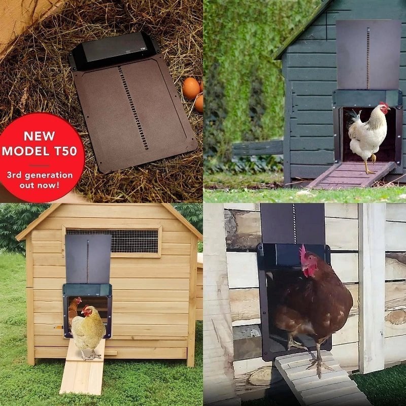 🎉LAST DAY 49% OFF🎉 - Automatic Chicken Coop Door