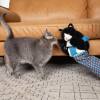 New Release Hot Sale 50% OFF🔥CategoryeTM Cats Puppet Wrestler🐾BUY 2 FREE SHIPPING