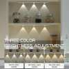 (🎄EARLY CHRISTMAS SALE - 50% OFF) 🎁THREE color temperature led motion sensor cabinet light