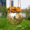 🎁TikTok Last Day Sale - 70% OFF🔥Disco Ball Planter