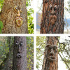 🌳Bark Ghost Faces Decorate Fun Yard Art