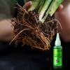 Last Day 70% OFF🔥Fast-Acting Nutrient Solution for Plants