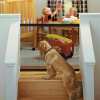 🔥(Last Day Promotion - 50% OFF) Portable Kids & Pets Safety Door Guard-BUY 2 FREE SHIPPING