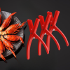 🔥LAST DAY SALE 50% OFF-🦞Crawfish Sheller Tool🦞