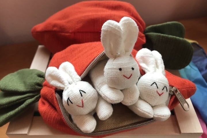 🔥Last Day Promotion 70% OFF🔥Hide-and-Seek Bunnies in Carrot Pouch