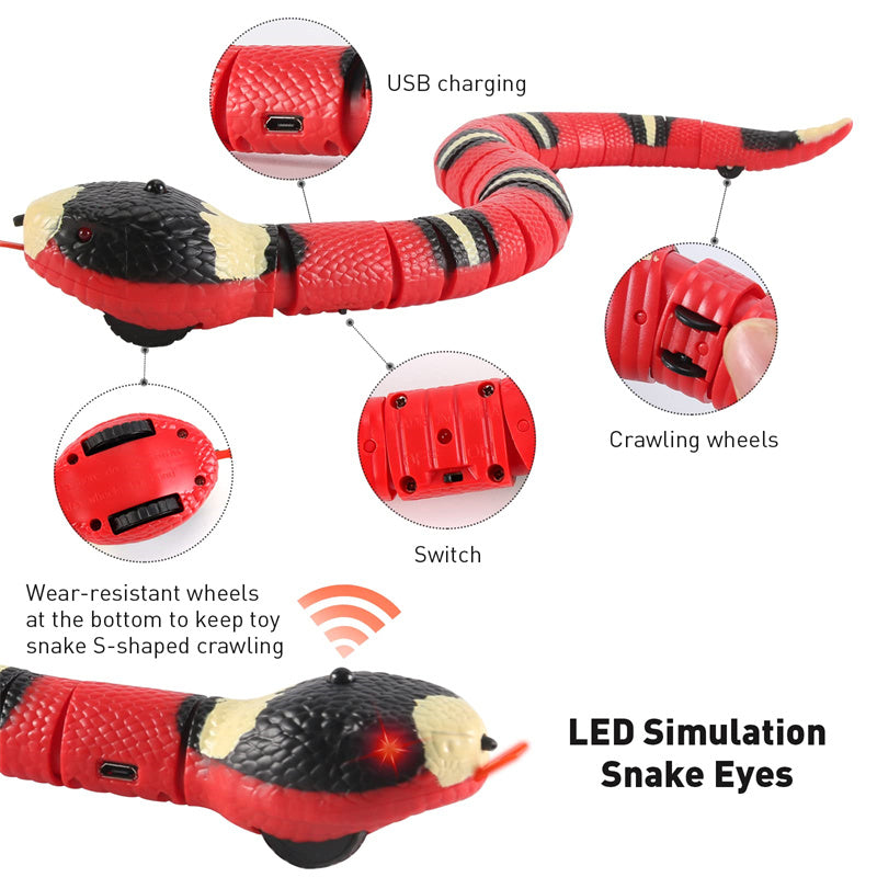 Interactive Snake Cat Toy