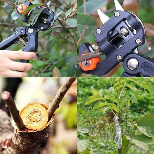 Early Christmas Hot Sale 50% OFF - Professional Garden Grafting Tool