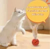 💥Buy 4 Get 4 Free&Free Shipping😻Chicken Feather Elastic Ball Pet Toy