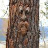 Tree Face Decor Outdoor