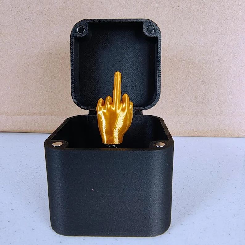 🔥Last Day Promotion - 60% OFF🎁💍Middle Finger in a Box🤣