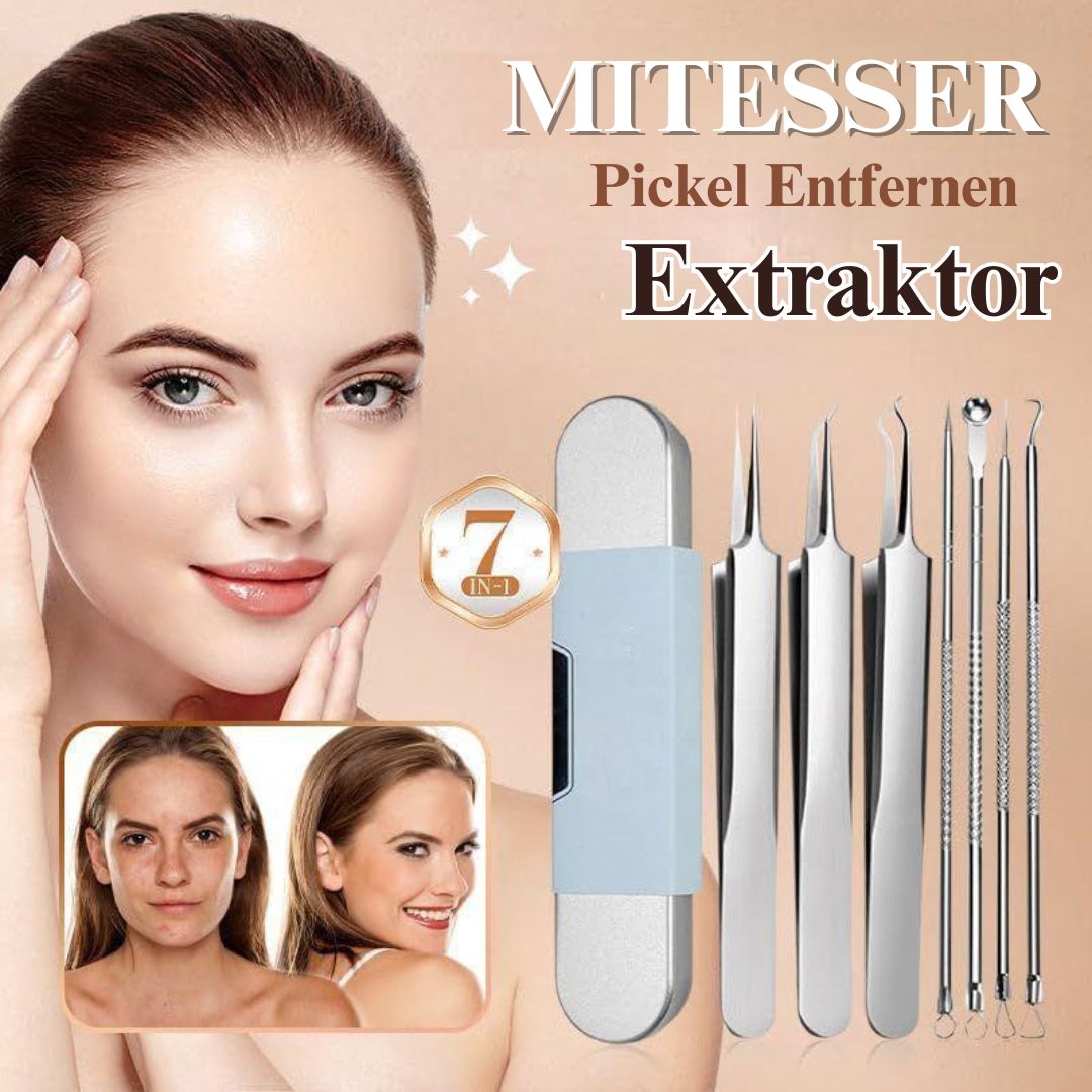 🏆Letzter Tag 49% Rabatt🔥Mitesserentferner-Werkzeugset aus Edelstahl