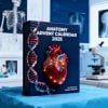 🔥Last Day 50% OFF -🎄2025 Anatomy Advent Calendar