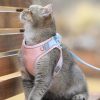 Luminous Cat Vest Harness And Leash Set